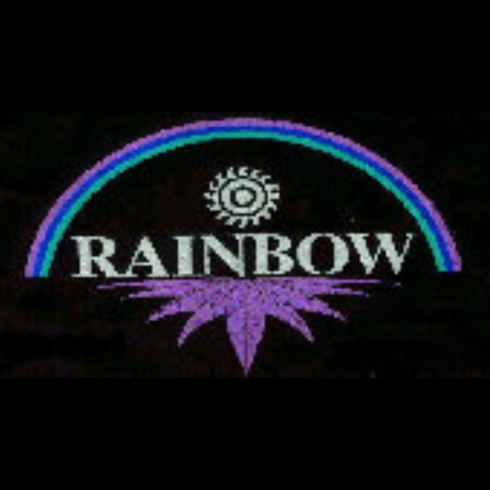 愛知県のカヤックショップ RAINBOW 三河湾シーカヤックスクール デスペラード スウィングスターパドル販売元 – Desperado、スウィングスターパドル 総販売元